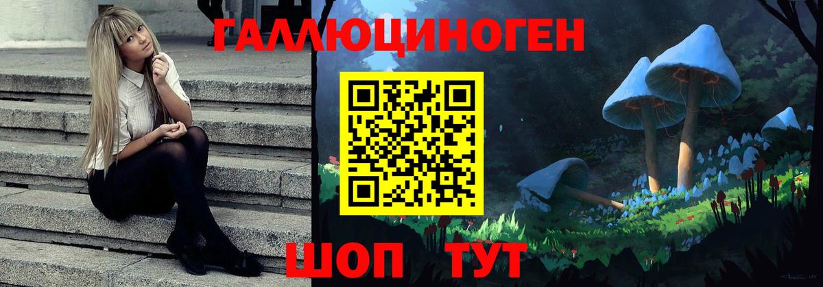 где найти   Вход с VPN  Малгобек  Псилоцибиновые грибы мицелий 